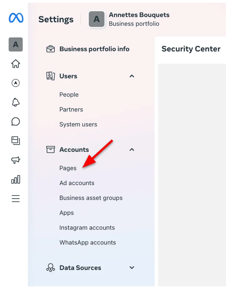 Business portfolio Pages tab