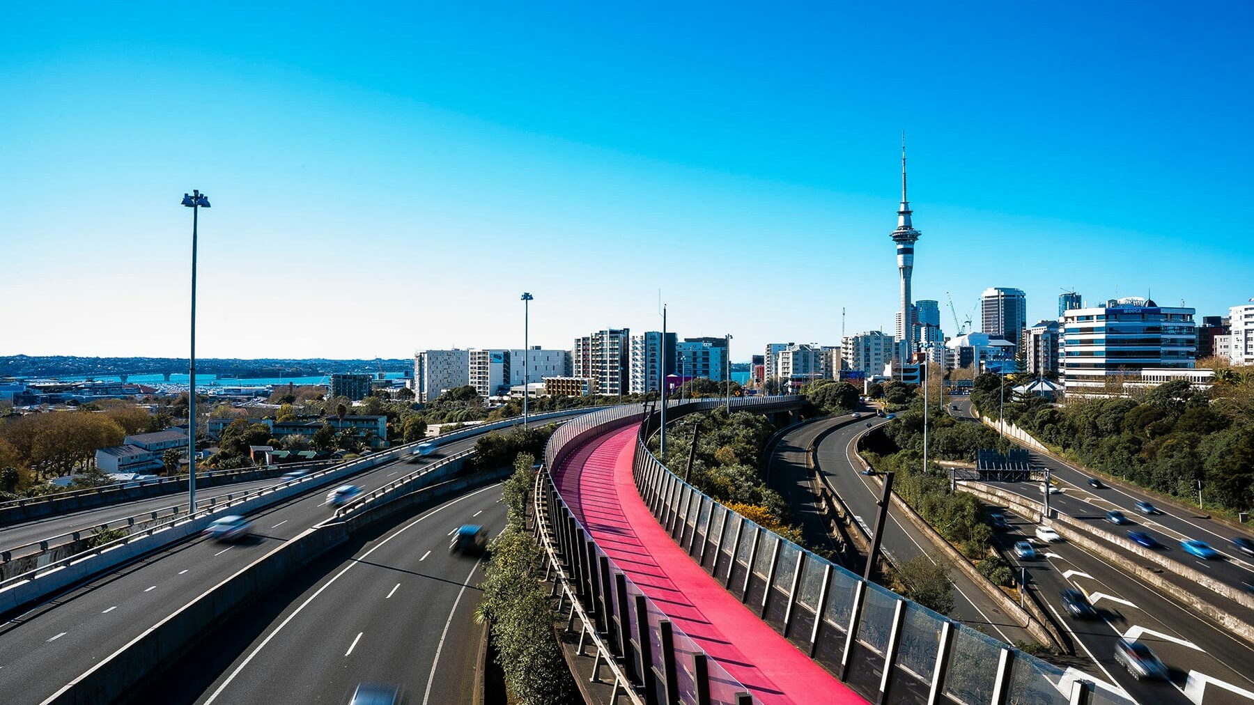 Activate Auckland Business